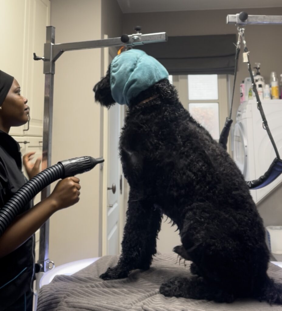 Trimsalon Zachtaardig